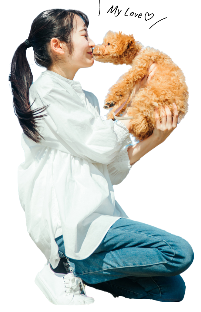 出張しつけ専門　DOGLIFECorinth~13:13~