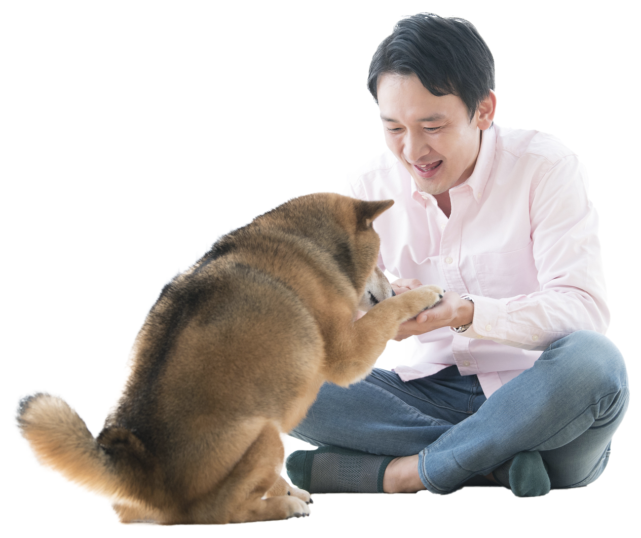 出張しつけ専門　DOGLIFECorinth~13:13~