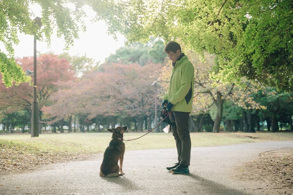 心理士×ドッグトレーナー<br>中島たかしが担当します