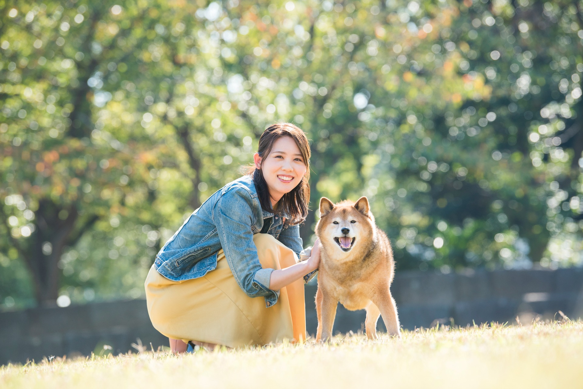 出張しつけを選ぶ理由